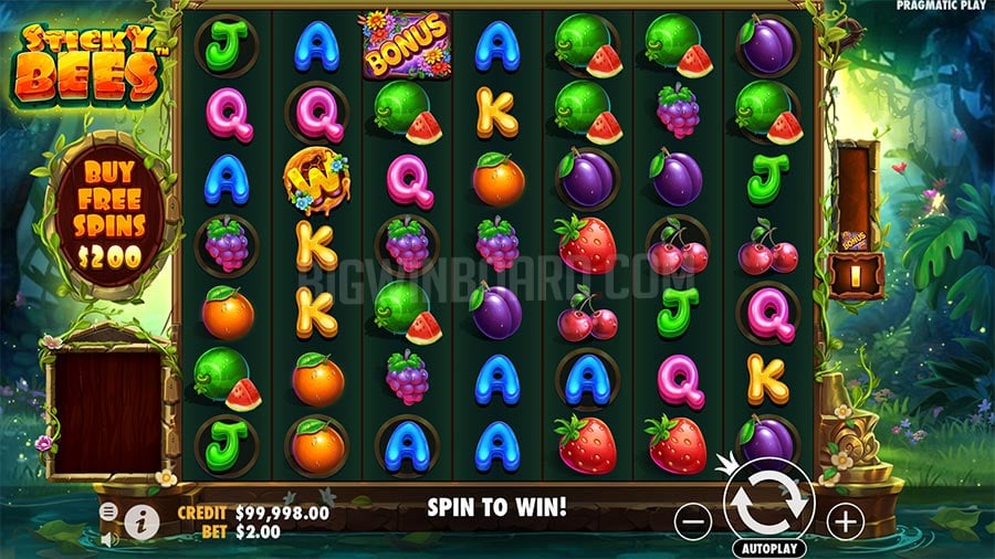 bCasino online casino